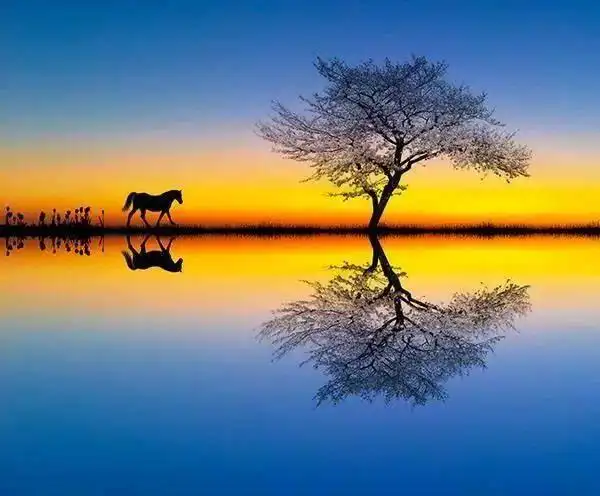 然而正常视角的倒影照似乎有些中规中矩,缺乏创意性.