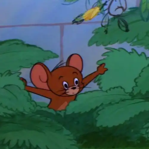 tomandjerry猫和老鼠头像