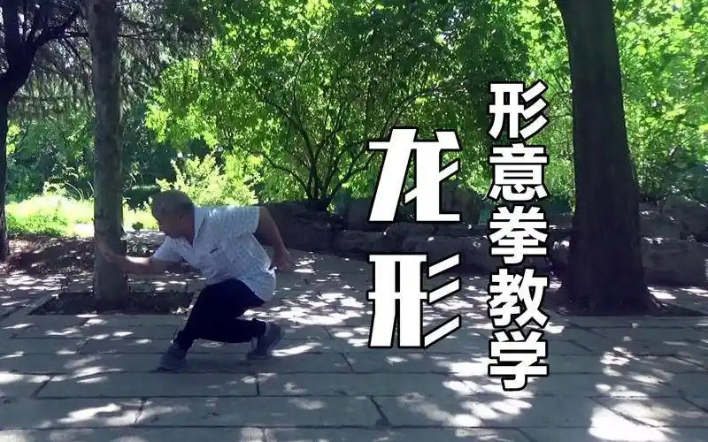 活动作品孙氏形意拳教学龙形自得园拳社孙伟老师演示