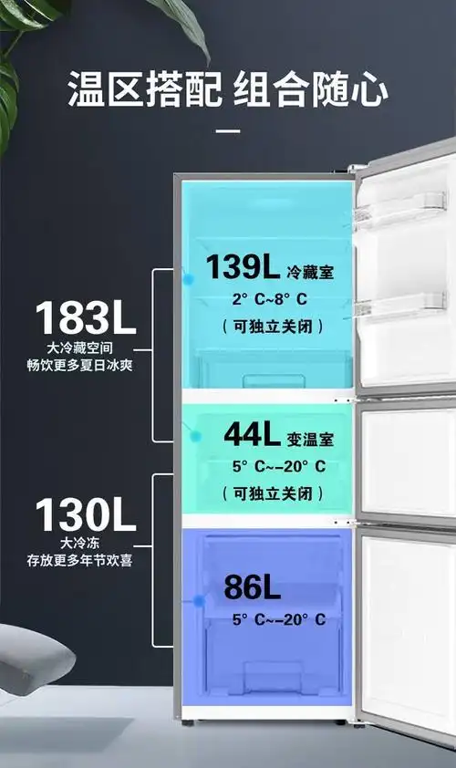 澳柯玛(aucma)家里立式冷藏冰柜分类储存冰柜冷藏冷冻冷柜 bcd-269wp