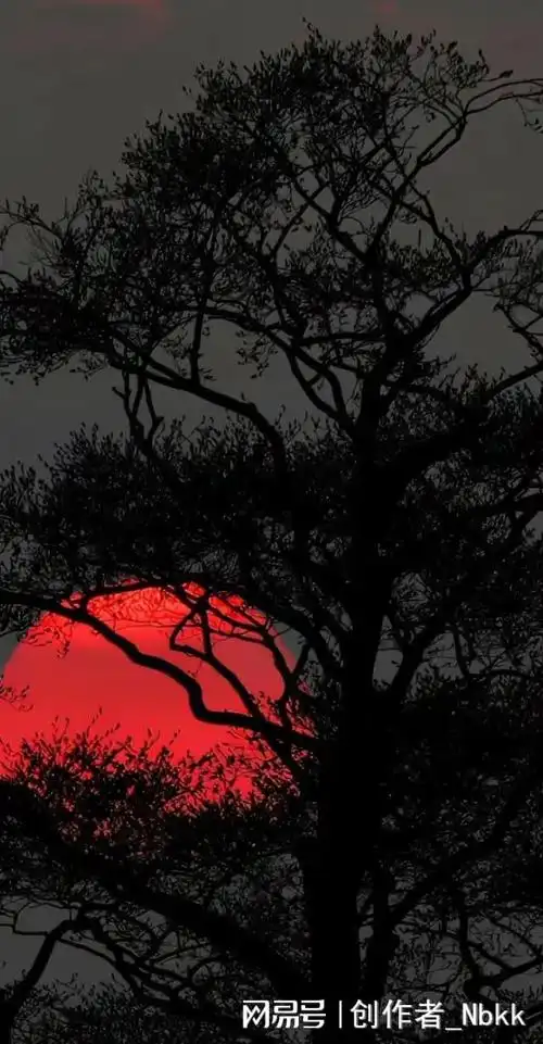 4k壁纸:水滴黯黑风格