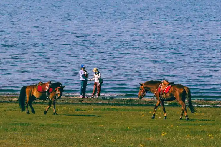 《可可托海牧羊人》随想