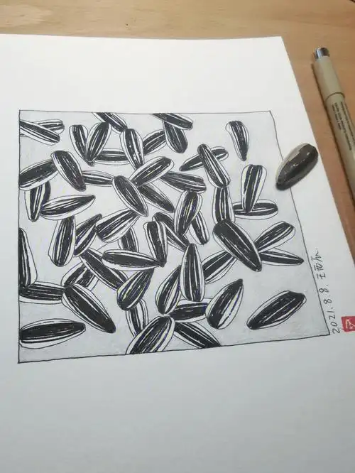 生活中简简单单的小东西瓜子画