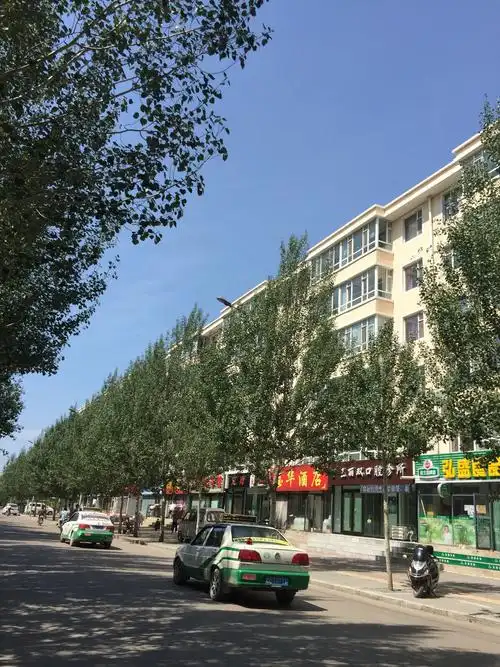 白城市洮北区文化东路31-2号楼天气预报