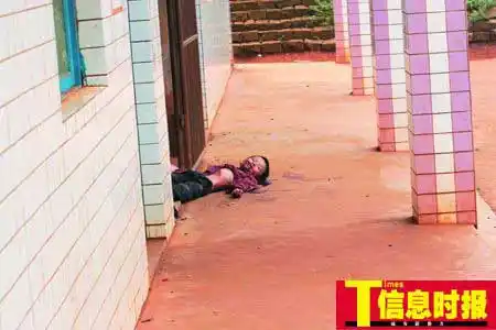 广东徐闻发生校园凶杀案致1死3伤(组图)