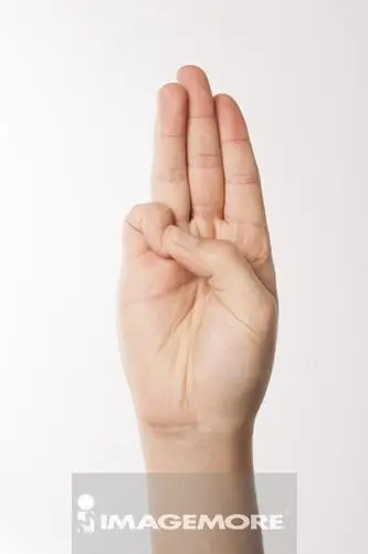 发誓的动作图片