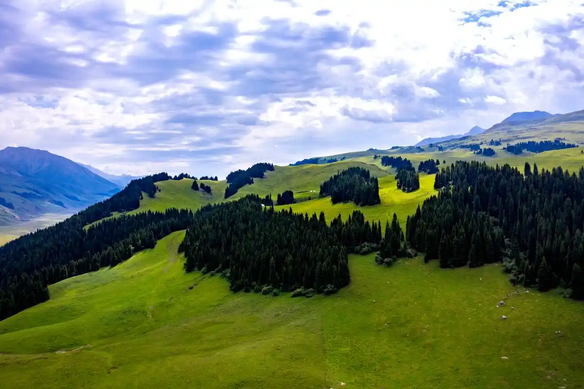 航拍新疆维吾尔自治区伊犁尼勒克县阔尔克草原风光