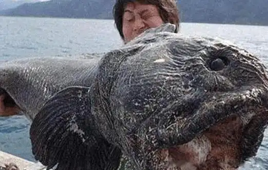 日本核辐射变异人真实照片对后代的影响到底多可怕