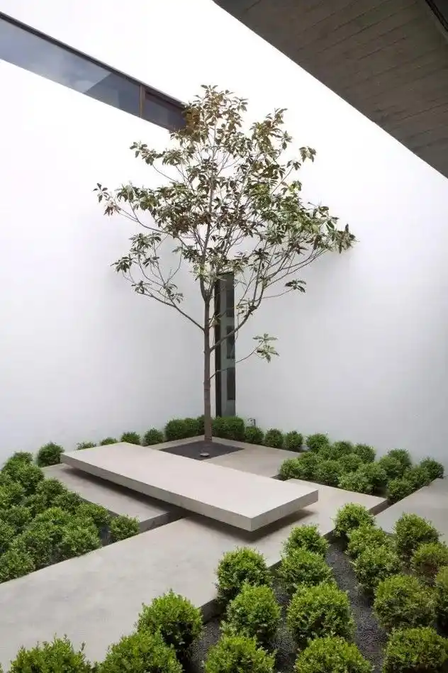 庭院一角.一方庭院里,所有浮华,都变清欢#设计师 #庭院设计 - 抖音