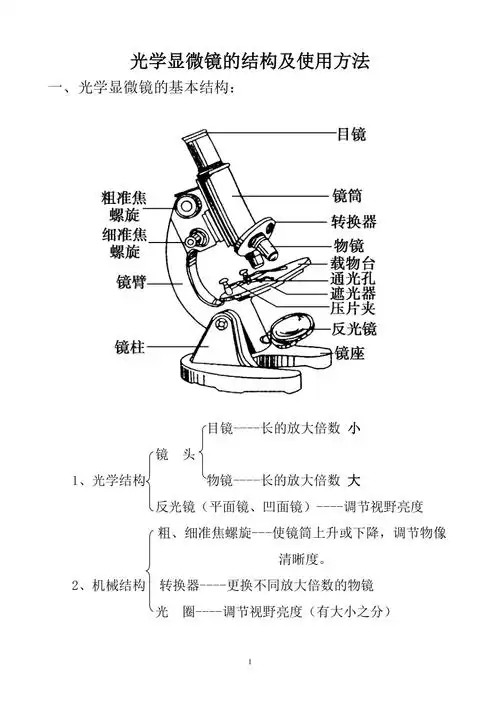 显微镜的结构及使用方法