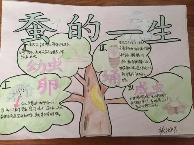 科学实践知识长,寓教于乐笑声来-------净月高新区南环小学科学实践