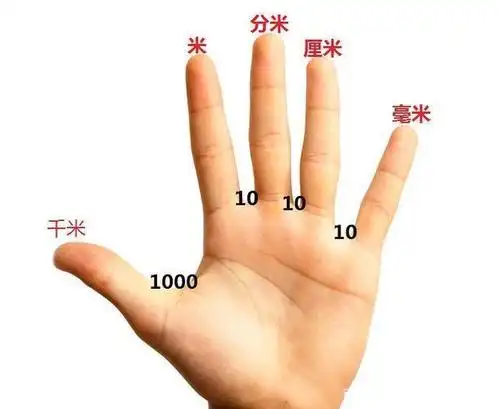 我们的手指是最形象的肢体语言,比如可以用于一年级的分与合,我给孩子