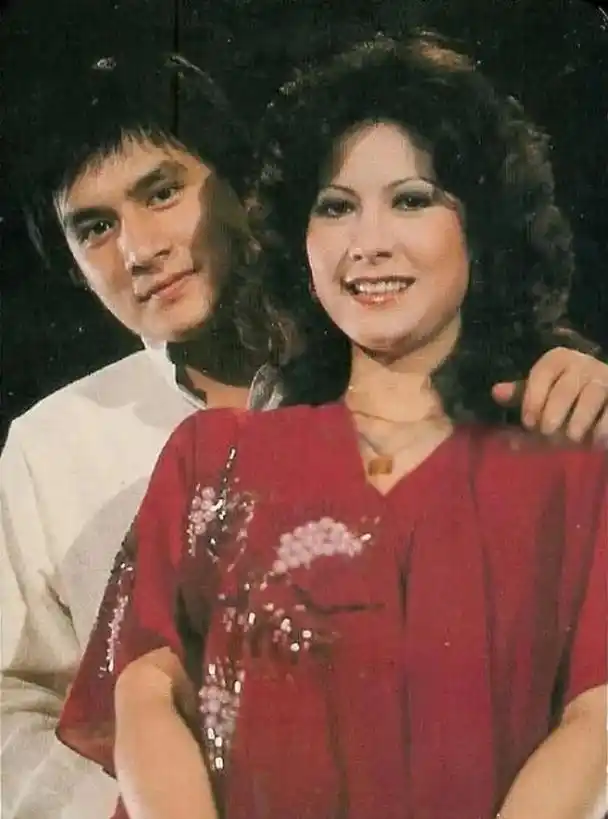 天后甄妮丈夫车祸去世她借精生女自始至终爱着傅声