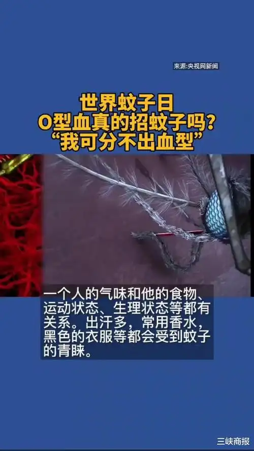 世界蚊子日 o型血真的招蚊子吗?"我可分不出血型"