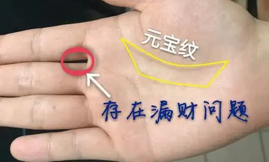 手掌中生有元宝纹是有大财运的人