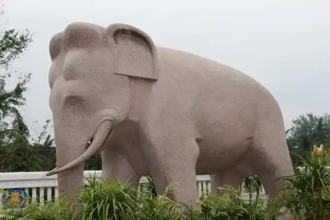 洛阳牡丹国色天香