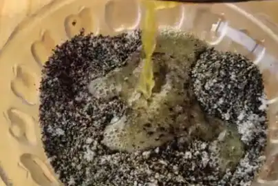 元宵节汤圆别再去买了,自己在家做,不发面不擀面,零失败_芝麻_剂子