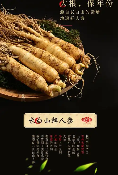 人参 鲜参带土现挖长白山野山参新鲜人参泡酒人叁500g正宗东北生晒林