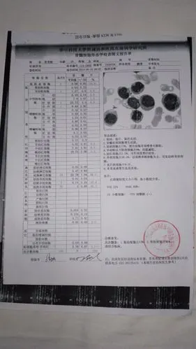 我想要活下去,一位年轻(熊猫血)白血病妈妈的牵挂 "我对不起爸妈