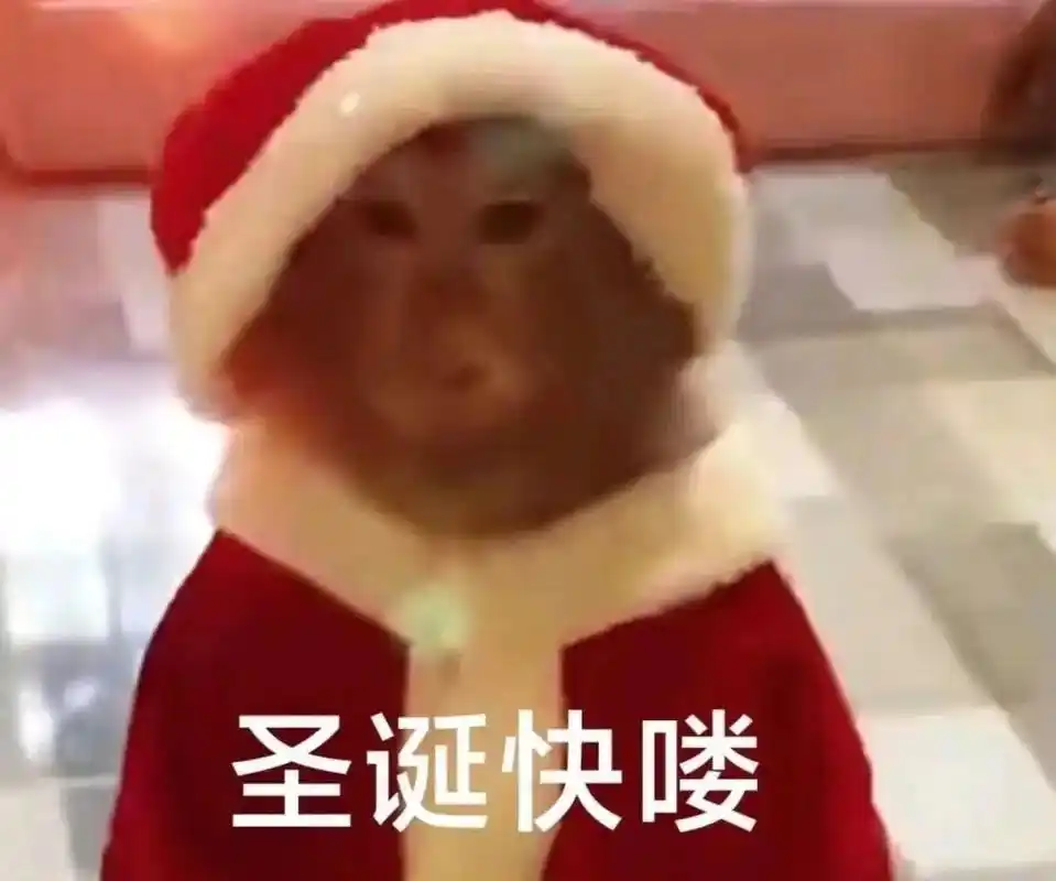 我说nmsl是年末顺利的意思 你误会我了.#圣诞节 #分享图 - 抖音