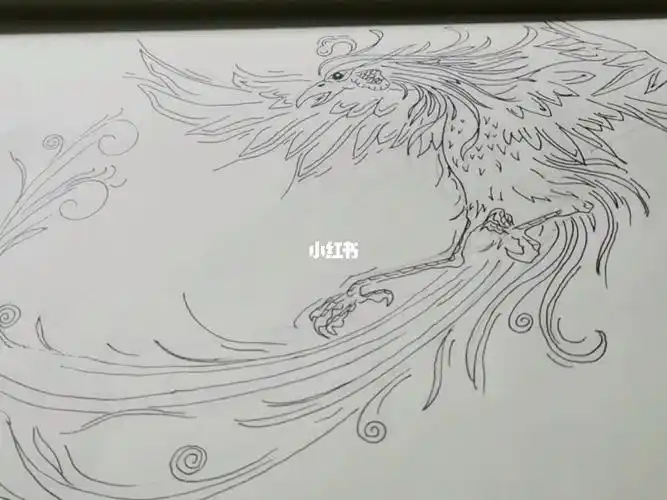 离火之精朱雀,天地间仅生一只,地位远超凤凰#简笔画  #画画  #我的