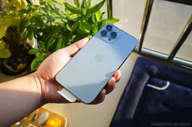 丑蓝or内裤蓝iphone13promax开箱