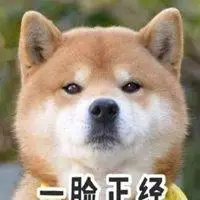 柴犬微笑表情包_微信头像图片大全