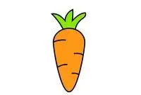 水萝卜彩色简笔画