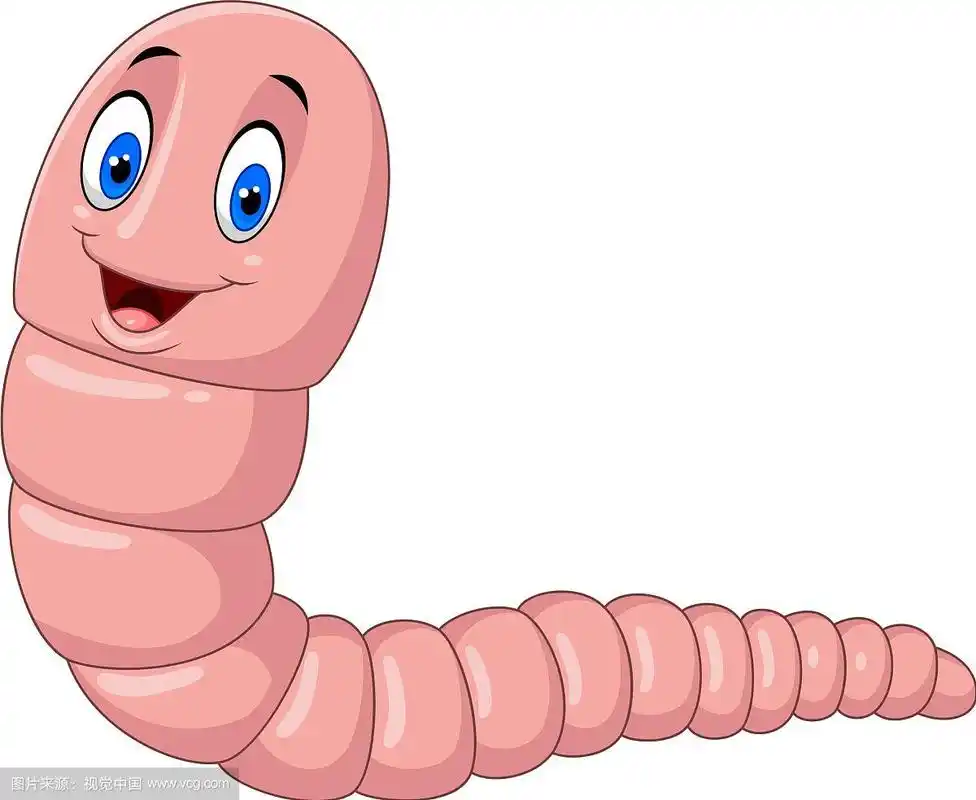卡通快乐的蚯蚓孤立在白色的背景