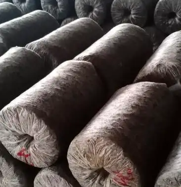 四季种植无公害食用菌平菇菌包