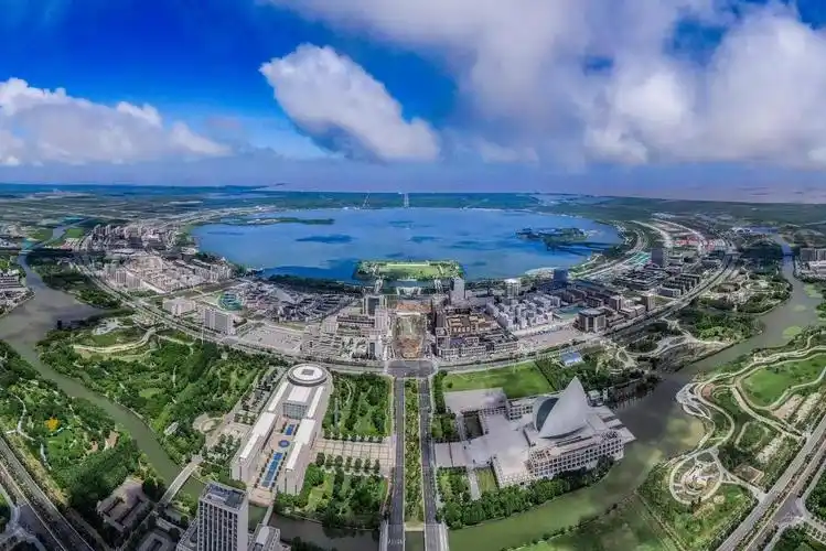 城事| 最新!临港新片区宣布设置15个内设机构,推出挂职岗位50名→--上