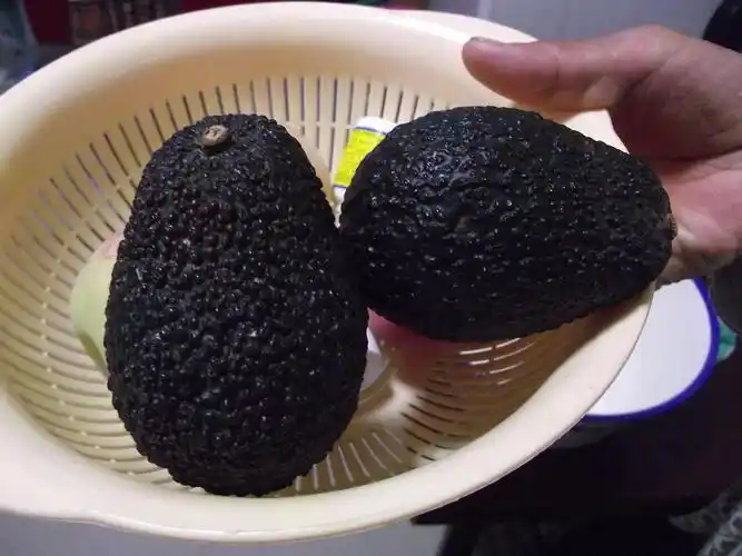 哪位知道这两个黑色的水果叫什么名字?求解!