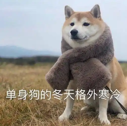 单身狗的冬天,格外寒冷