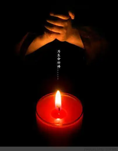 远方之声新会员群每周一文