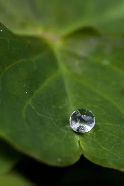 我是普普通通的一滴水珠