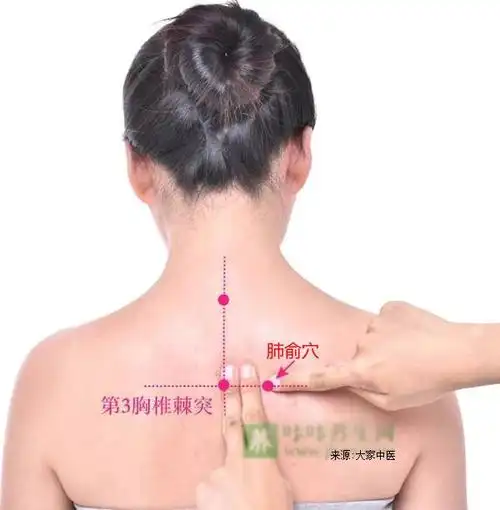 肺俞穴的准确位置图肺俞穴肺俞穴的作用和功效