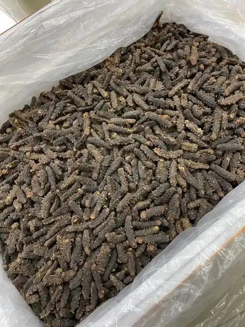 138145头印尼小刺参海参肉厚泡发率高现货发货批发一件代发