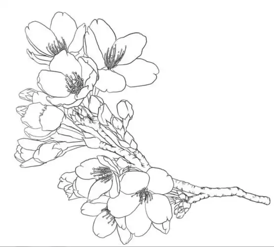 古风花简笔画教程视频