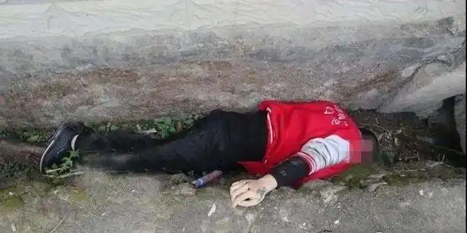 树坑惊现男尸!警察调查:凶手一连杀害两人,是仇杀,还是财杀?