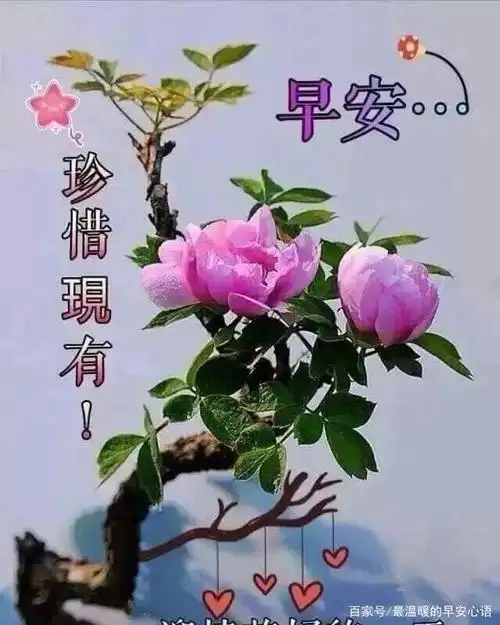 早上好唯美壁纸祝福图片带字美图 清晨暖心的经典温馨早安问候语