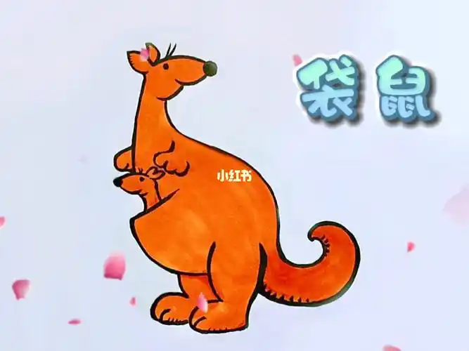 袋鼠简笔画