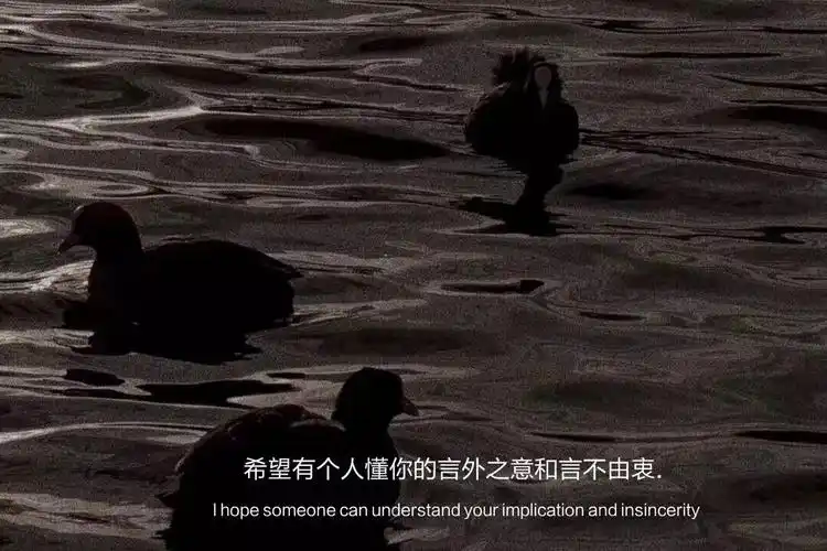 抖音热门背景图/文字背景图 - 堆糖,美图壁纸兴趣社区