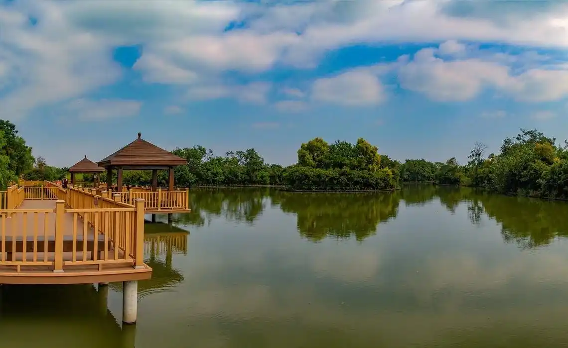 广州南沙湿地公园