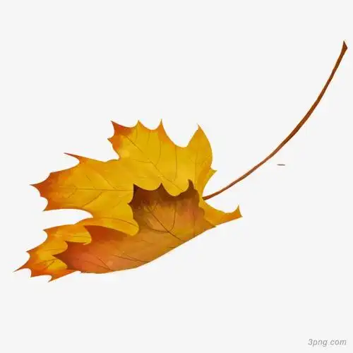 一片黄色秋叶png素材透明免抠图片卡通手绘