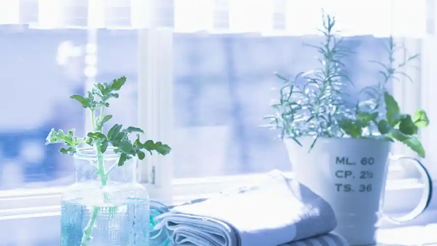 小清新家居静物高清桌面壁纸