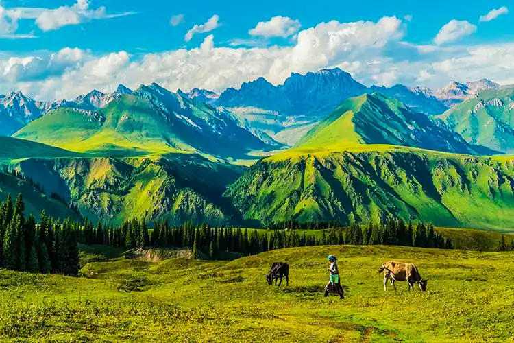 新疆尼勒克县百里画廊自驾导航路线,马蜂窝自由行 - 马蜂窝自由行