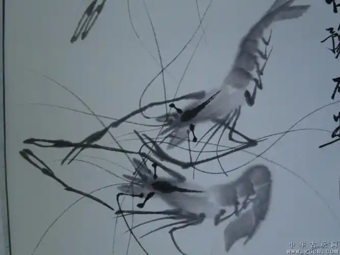 乡下收到齐白石徒弟的虾一幅