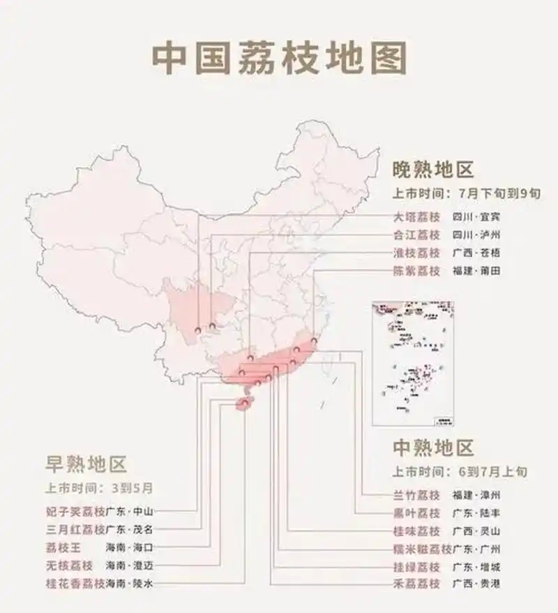 各省荔枝主要产地分布图鉴