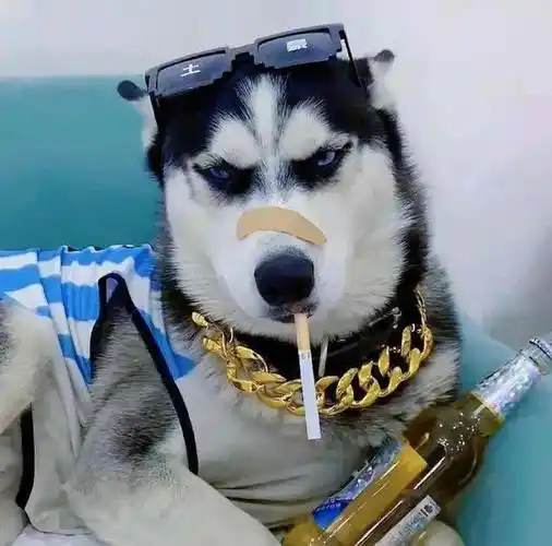 头像| 期待已久的头像大全_厚可_什么_都送上