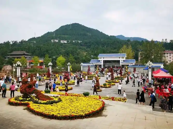 青婧 封面新闻记者 刘彦谷 10月8日,封面新闻记者从苍溪县文化旅游和